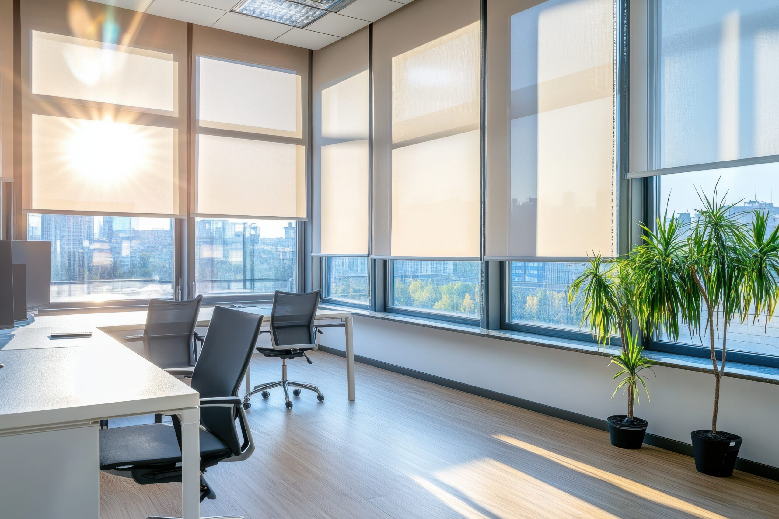 Premium roller blinds