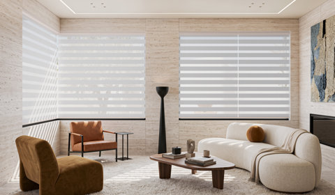 Zebra Blinds
