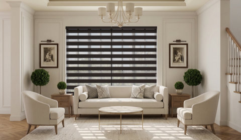 Zebra Blinds