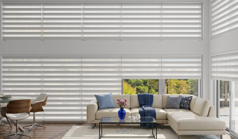 Zebra Blinds