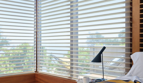 Sheer Horizontal Blinds
