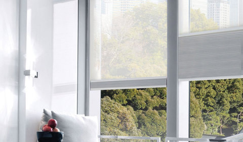 Honeycomb Blinds