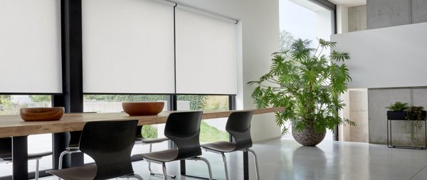 RÈM CUỐN VĂN PHÒNG – GIẢI PHÁP CHỐNG NẮNG GỌN ĐẸP CHO CÔNG SỞ