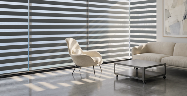 Zebra Blinds