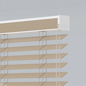Venetian Blinds