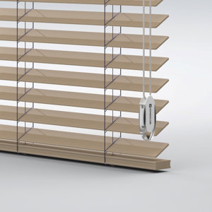 Venetian Blinds